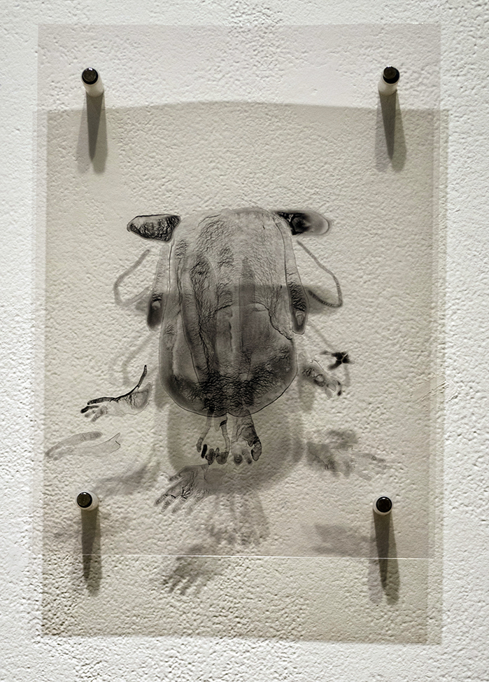 Butterfly II_install_1